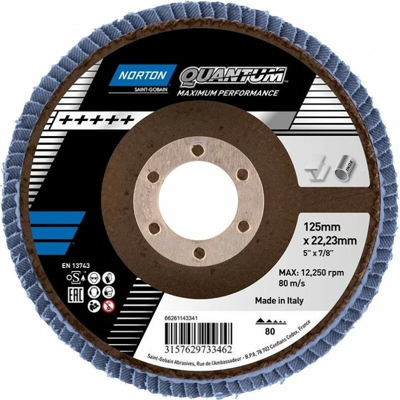 Disk Foglie Quantum Rosa 125 Millimetri P80