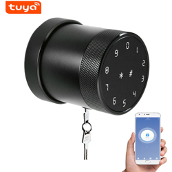 Metodo di sblocco della serratura intelligente Tuya BT: telecomando APP mobile / password / scheda / bluetooth / chiave senza impronta digitale características