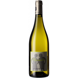 ABYMES MICRASTER 2020 - DOMAINE BLARD características
