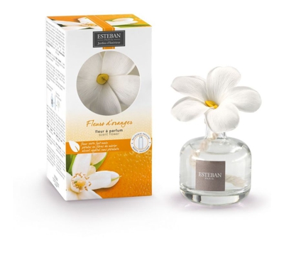 Esteban Paris Diffusore Di Profumo Con Fiore 75Ml Fleurs D'Oranger Profumazione Casa Interni