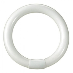 Tubo Neon Circolare T9 22W 210Mm Luce Bianchissima - Maurer en oferta