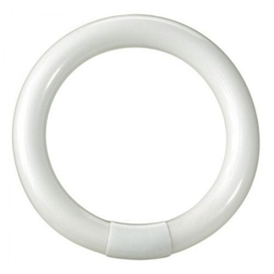 Tubo Neon Circolare T9 22W 210Mm Luce Bianchissima - Maurer