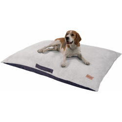 Brunolie características