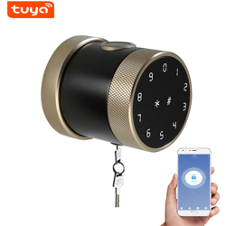 Metodo di sblocco della serratura intelligente Tuya BT: telecomando APP mobile / password / carta / bluetooth / chiave / impronta digitale precio