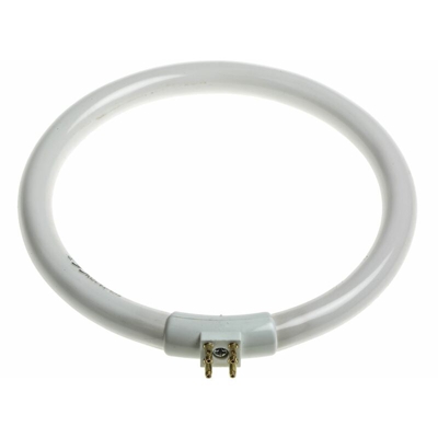 Tubi al neon circolari RS PRO, 12 W, colore luce diurna da 8000h G10q