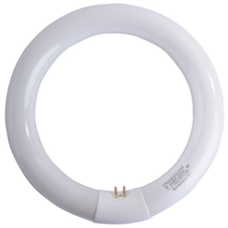 Lampada Fluorescente T9 W22 Circolare Airam precio
