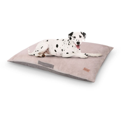 Brunolie características