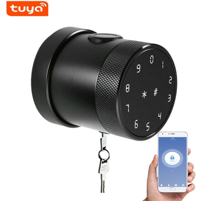 Metodo di sblocco della serratura intelligente Tuya BT: telecomando APP mobile / password / carta / bluetooth / chiave / impronta digitale