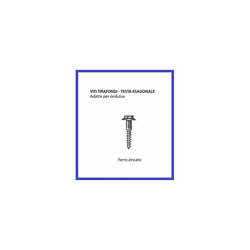 Blister 6 Viti TIRAFONDI Testa Esagonale DIAM. 6x60mm Art. 12652 - Oreca en oferta