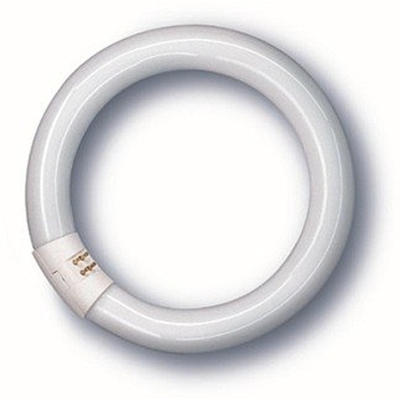Neon circolare lampada fluorescente 22w/840 4000 g10q