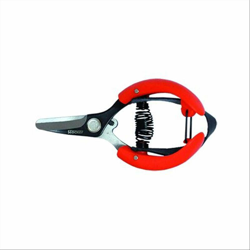 forbici cogliagrumi cm10 l.curva - Stocker en oferta