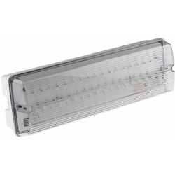 Lampada di emergenza LED, durata 3h, L. 352 mm, IP65, 6 W, 200 lm - Rs Pro en oferta