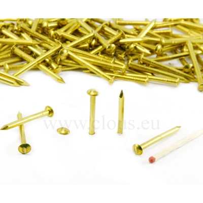 ORECA-CHIODI TESTA BOMBATA OTTONE LUCIDO mm 1,4X13 GR.30