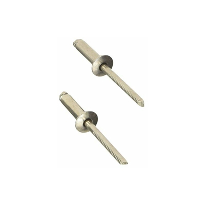 Rivetti Inox-brico Aisi-304 50 Pezzi 4,8x16mm - Blinky