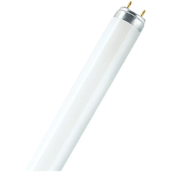 neon fluorescente lineare 60 cm 18 watt B CE G13 bianco freddo no spe woj21508 precio