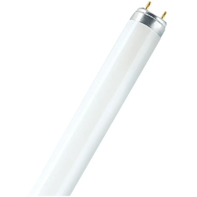 neon fluorescente lineare 60 cm 18 watt B CE G13 bianco freddo no spe woj21508