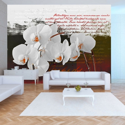 Fotomurale - Diario e orchidea - 250x175