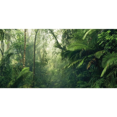Foto Murale Tropenwelten 500x250 cm - Multicolore - Komar
