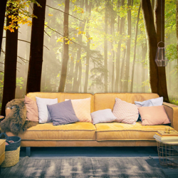 Artgeist - Fotomurale - Mysterious forest path - 350x270 características