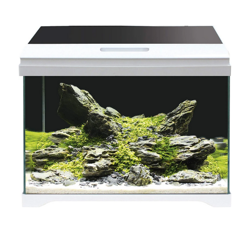Acquario Modern Tank Amtra: 40 LED precio