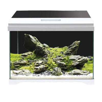 Acquario Modern Tank Amtra: 40 LED