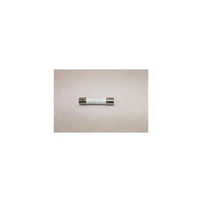 Fusibile 15A - Forni a Microonde - SAMSUNG - 311271