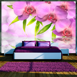 Fotomurale - Orchidee color lillà - 250x175 en oferta
