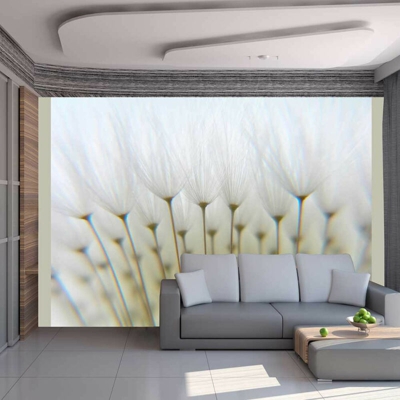 Artgeist - Fotomurale - Foresta di soffioni - 350x270
