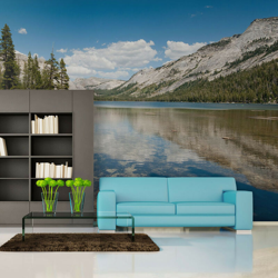 Artgeist - Fotomurale - Tenaya Lake - Yosemite National Park - 350x270 precio