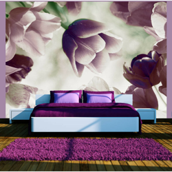 Fotomurale - Heavenly tulips - 250x193 en oferta
