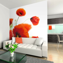 Artgeist - Fotomurale - Poppies on the wihite background - 350x270 características