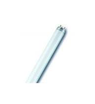 Neon Lineare T8 36w 865 Luce Fredda - Radium características