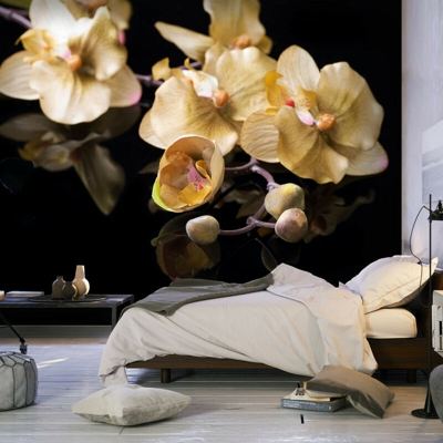 Artgeist - Fotomurale - Orchids in ecru color - 350x270