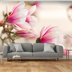 Artgeist - Fotomurale - Branch of magnolia tree - 350x270 en oferta