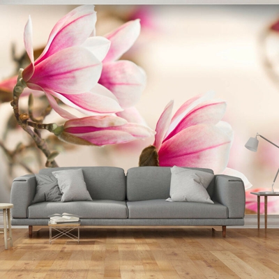 Artgeist - Fotomurale - Branch of magnolia tree - 350x270