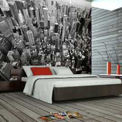 Fotomurale - Stati Uniti, New York: bianco e nero - 350x270 precio