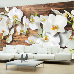 Fotomurale - Orchidee insensibili II - 250x175 precio
