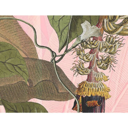 Foto Murale Plantation 350x270 cm - Multicolore - Komar precio