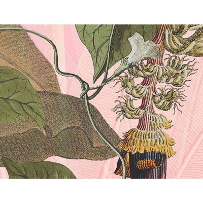 Foto Murale Plantation 350x270 cm - Multicolore - Komar