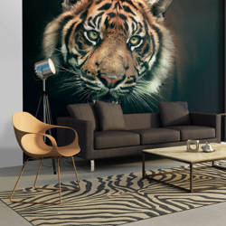 Fotomurale - Tigre del Bengala - 200x154 precio