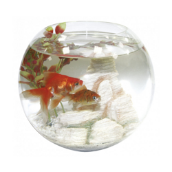 Boccia Crystal Globe Amtra: 30 en oferta