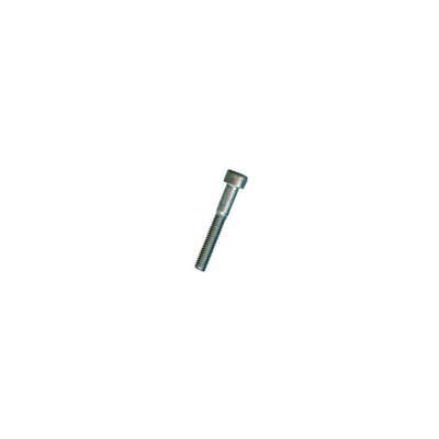 VITE BRUGOLA TC 6x 30 INOX A2-304 DIN912-UNI5931