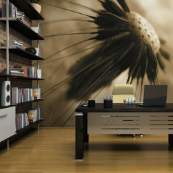 Artgeist - Fotomurale - soffione - seppia - 350x270 precio