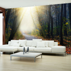 Artgeist - Fotomurale - Strada attraverso la foresta - 350x245 precio