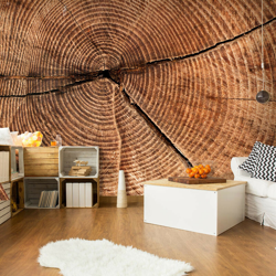 Fotomurale - Sezione trasversale di un tronco - 350x270 en oferta