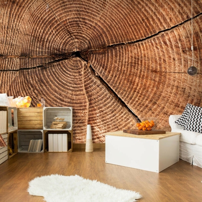 Fotomurale - Sezione trasversale di un tronco - 350x270