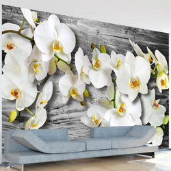 Fotomurale - Orchidee insensibili III - 250x175 en oferta
