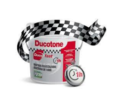 Idropittura Ducotone Fast - lt.14 características