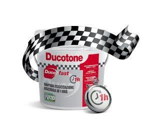 Idropittura Ducotone Fast - lt.14