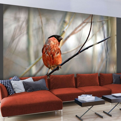 Artgeist - Fotomurale - Bullfinch in the forest - 350x270
